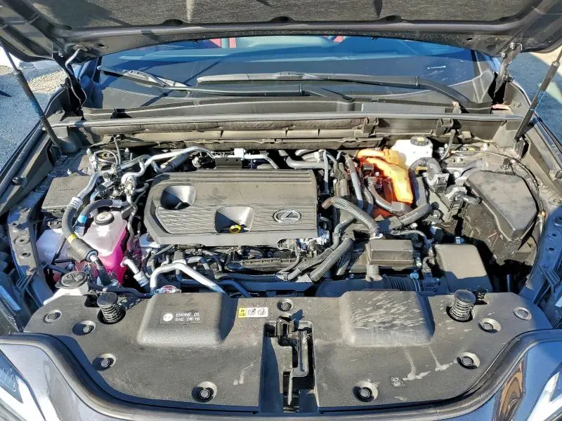 2025 LEXUS NX 450H LUXURY  