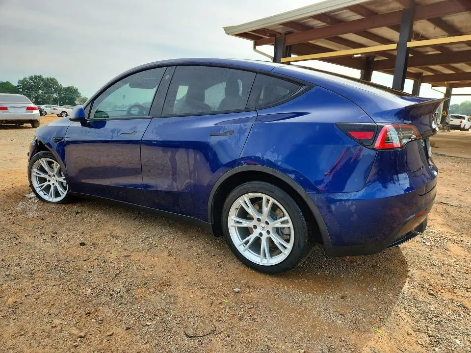 2021 TESLA MODEL Y   