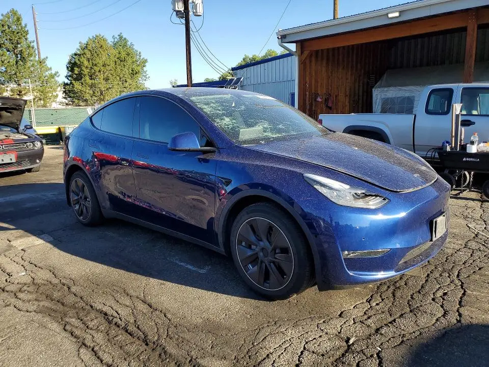 2021 TESLA MODEL Y   