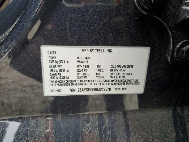 2024 TESLA MODEL Y   