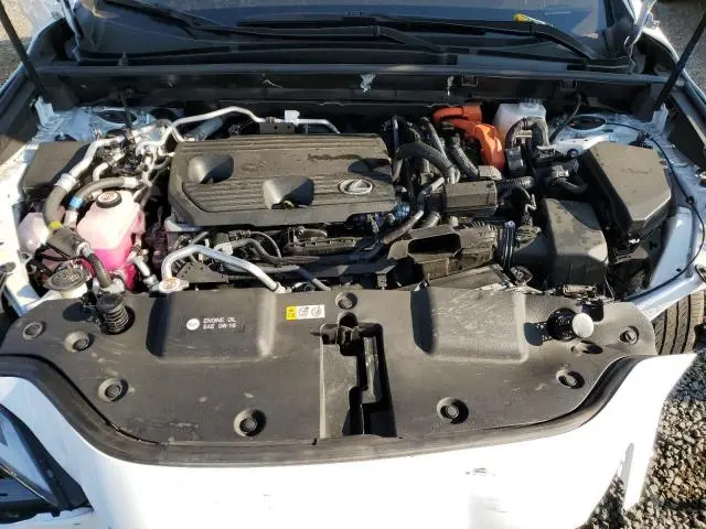 2025 LEXUS NX 450H LUXURY  