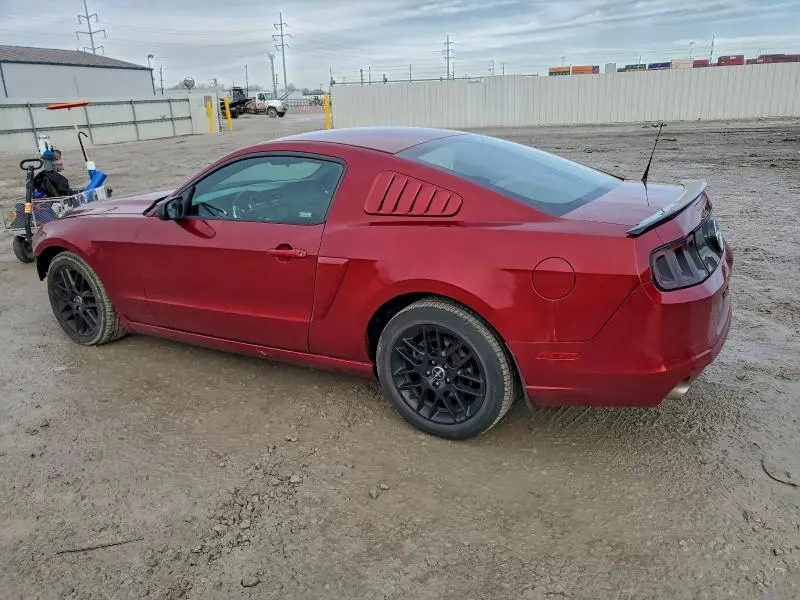 2014 FORD MUSTANG   