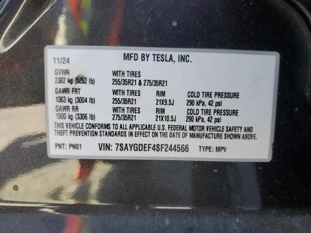 2025 TESLA MODEL Y   