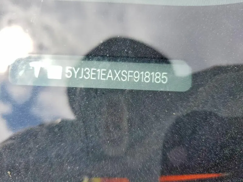 2025 TESLA MODEL 3   