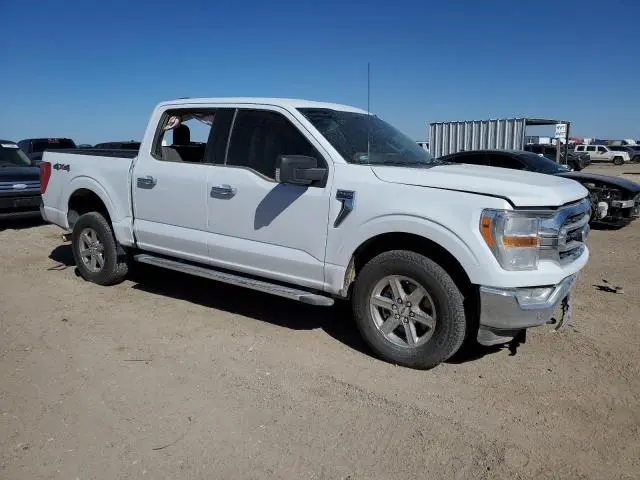 2023 FORD F150 SUPERCREW  