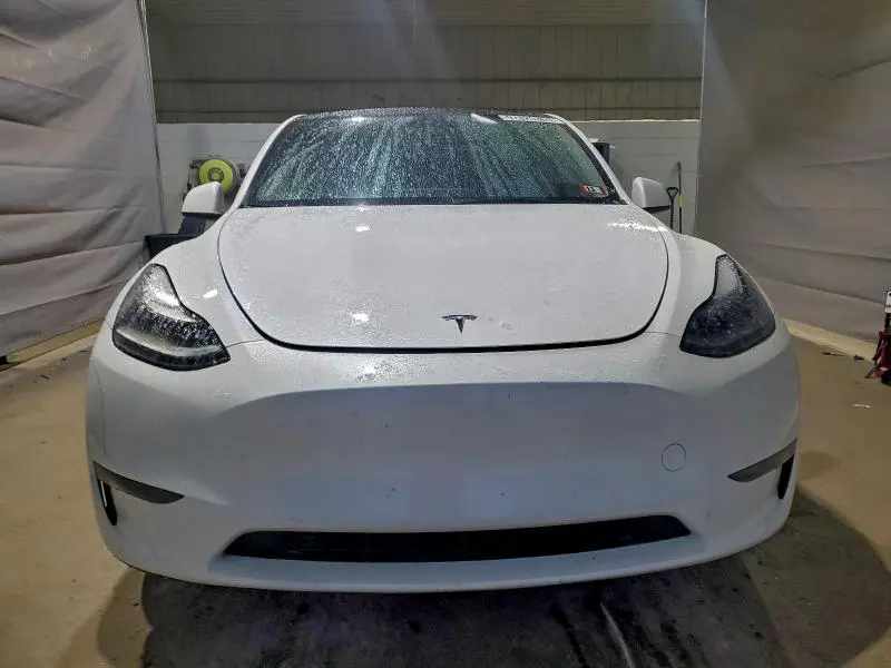 2025 TESLA MODEL Y   