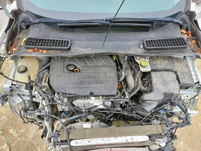 2019 FORD ESCAPE SEL  