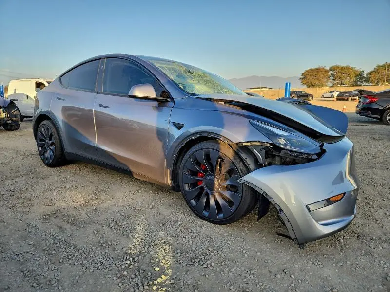 2024 TESLA MODEL Y   