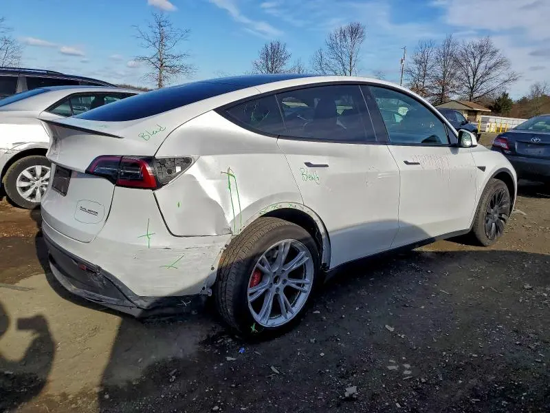 2023 TESLA MODEL Y   