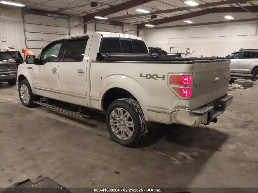 2013 FORD F-150 PLATINUM