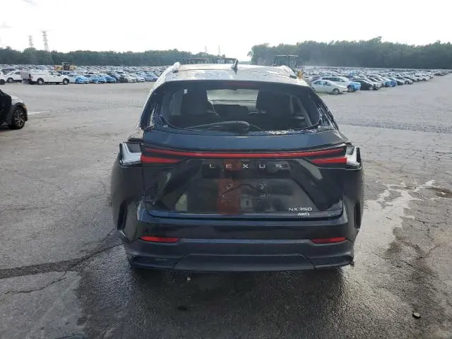 2023 LEXUS NX 350  