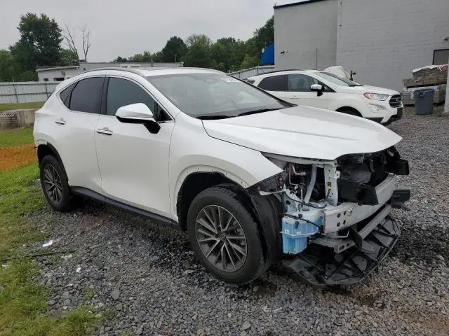 2022 LEXUS NX 350  