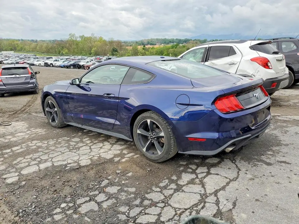 2019 FORD MUSTANG   