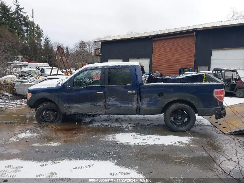 2010 FORD F-150 FX4/HARLEY-DAVIDSON/KING RANCH/LARIAT/PLATINUM/XL/XLT