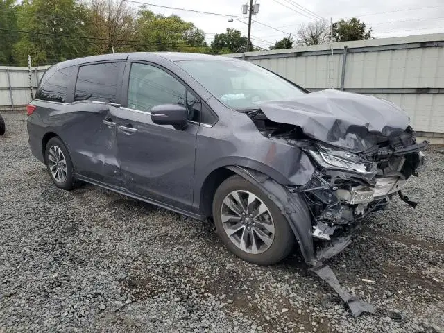 2023 HONDA ODYSSEY EXL  