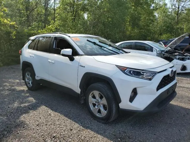 2020 TOYOTA RAV4 XLE  