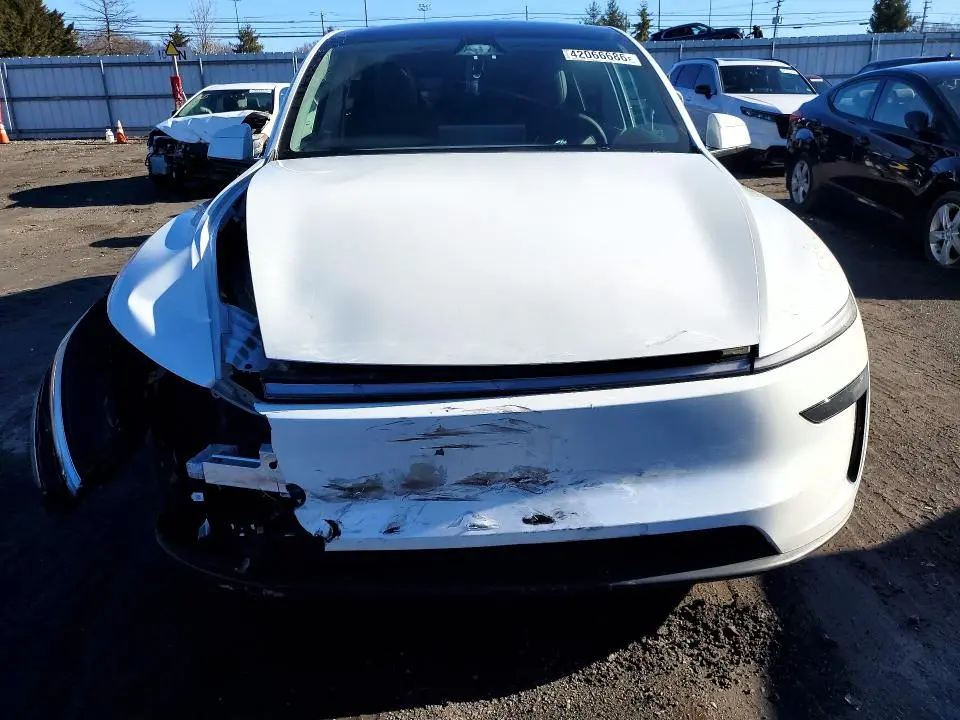 2026 TESLA MODEL Y   