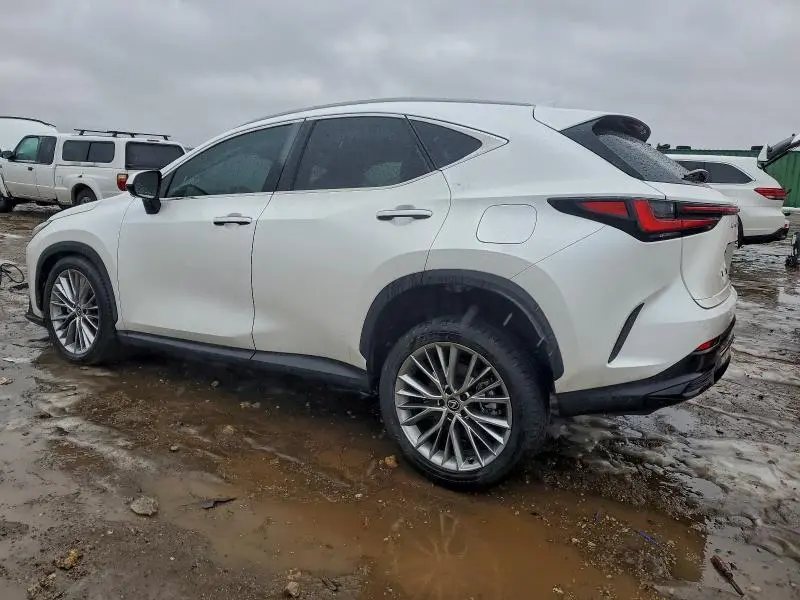 2024 LEXUS NX 350 LUXURY  