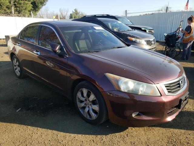 2010 HONDA ACCORD EXL