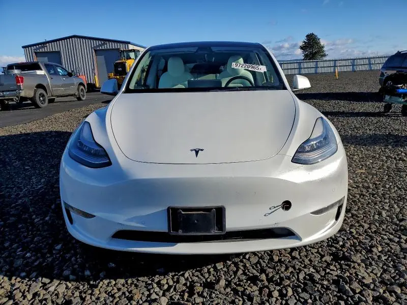 2021 TESLA MODEL Y   
