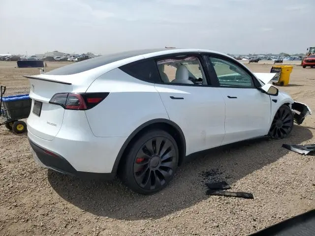 2024 TESLA MODEL Y   