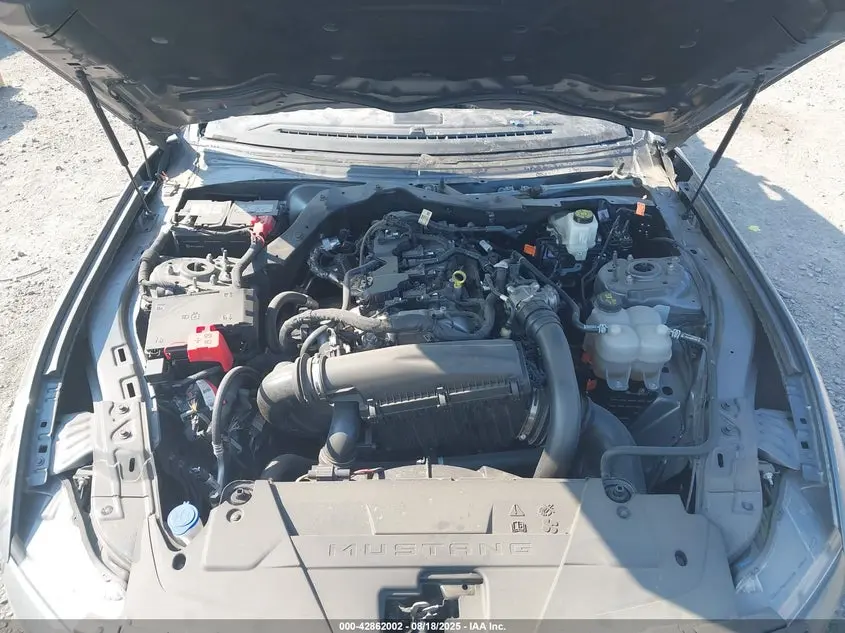 2024 FORD MUSTANG ECOBOOST FASTBACK