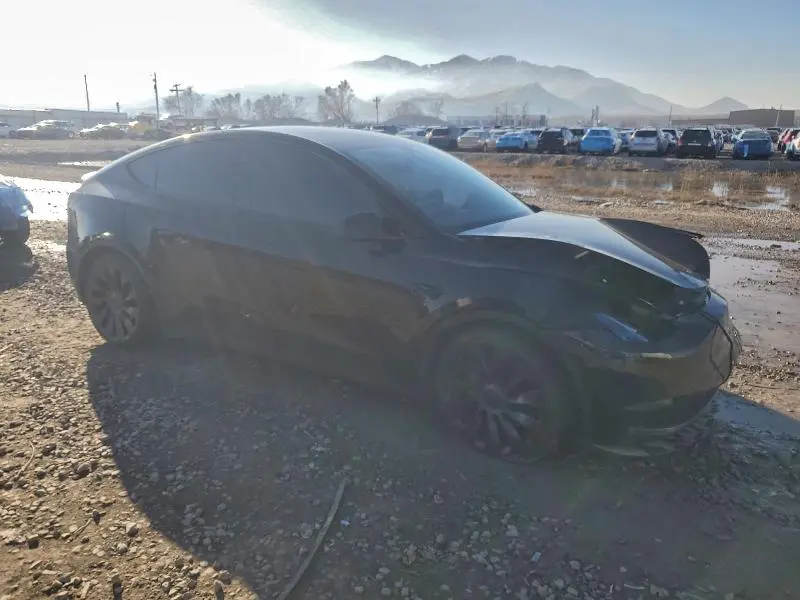2025 TESLA MODEL Y   