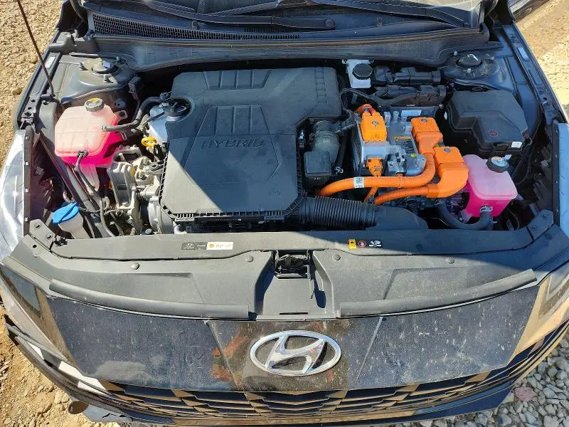 2023 HYUNDAI ELANTRA BLUE  