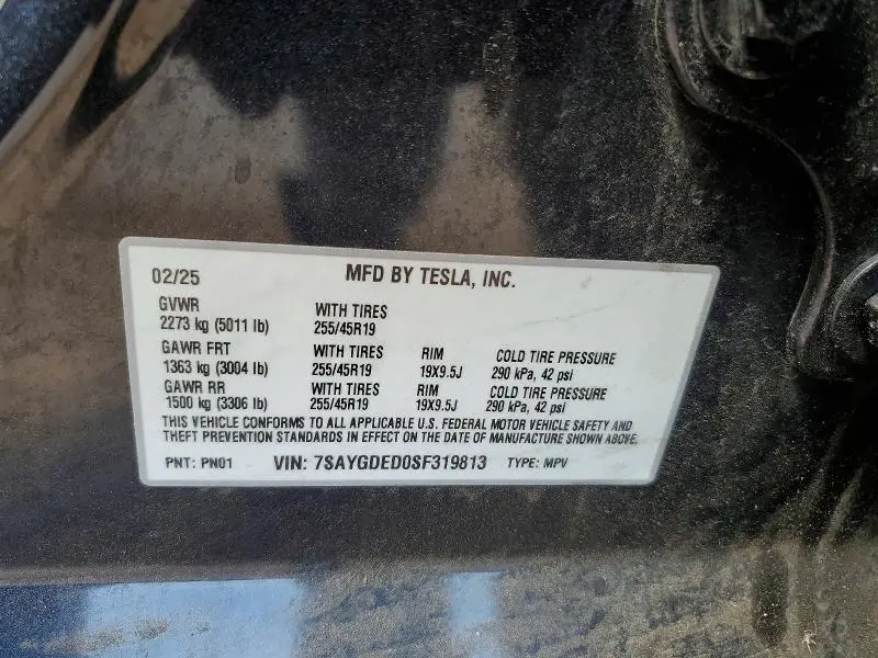2025 TESLA MODEL Y   