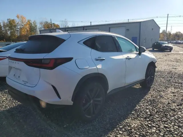 2025 LEXUS NX 450H LUXURY  