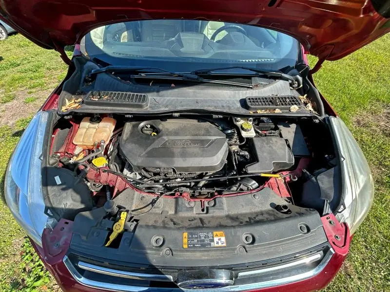 2013 FORD ESCAPE SEL  