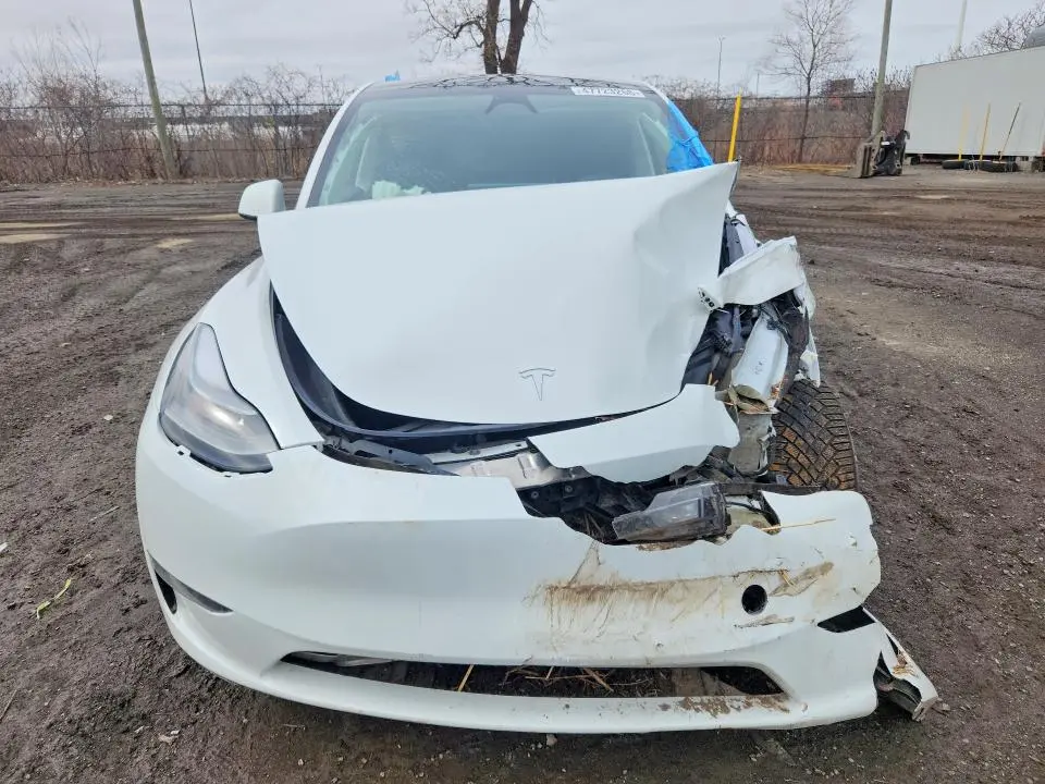 2024 TESLA MODEL Y   