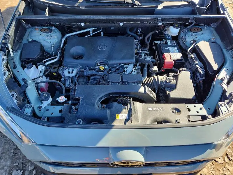 2019 TOYOTA RAV4 XLE  