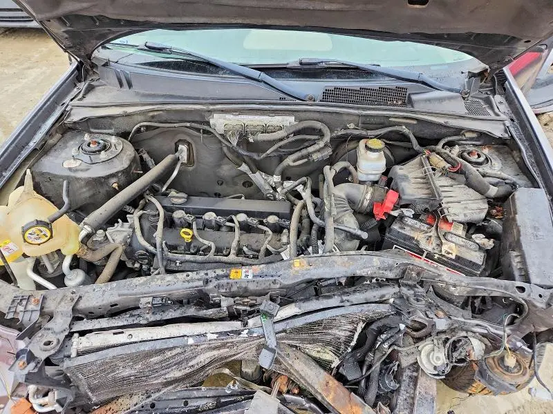 2010 FORD ESCAPE XLT  