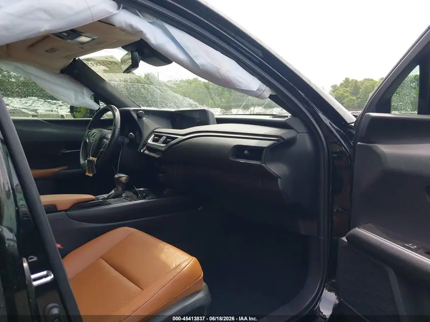 2019 LEXUS UX 200  