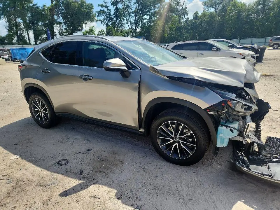 2024 LEXUS NX 250 BASE  