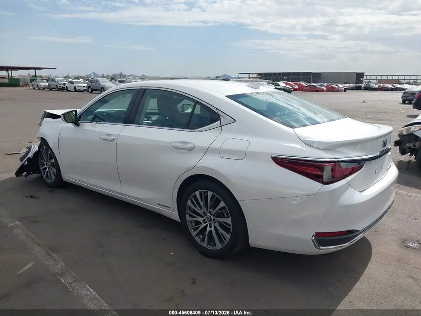 2019 LEXUS ES 300H  