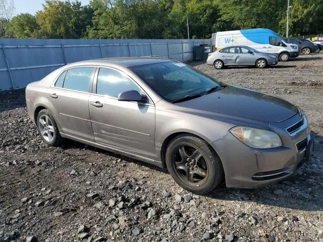 2010 CHEVROLET MALIBU 1LT  
