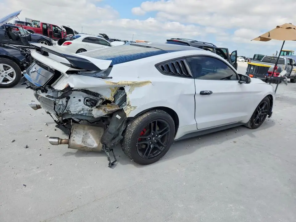 2019 FORD MUSTANG   