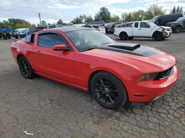 2010 FORD MUSTANG   