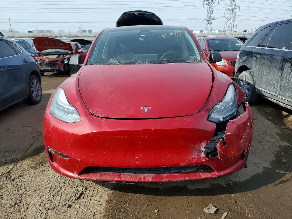 2021 TESLA MODEL Y   