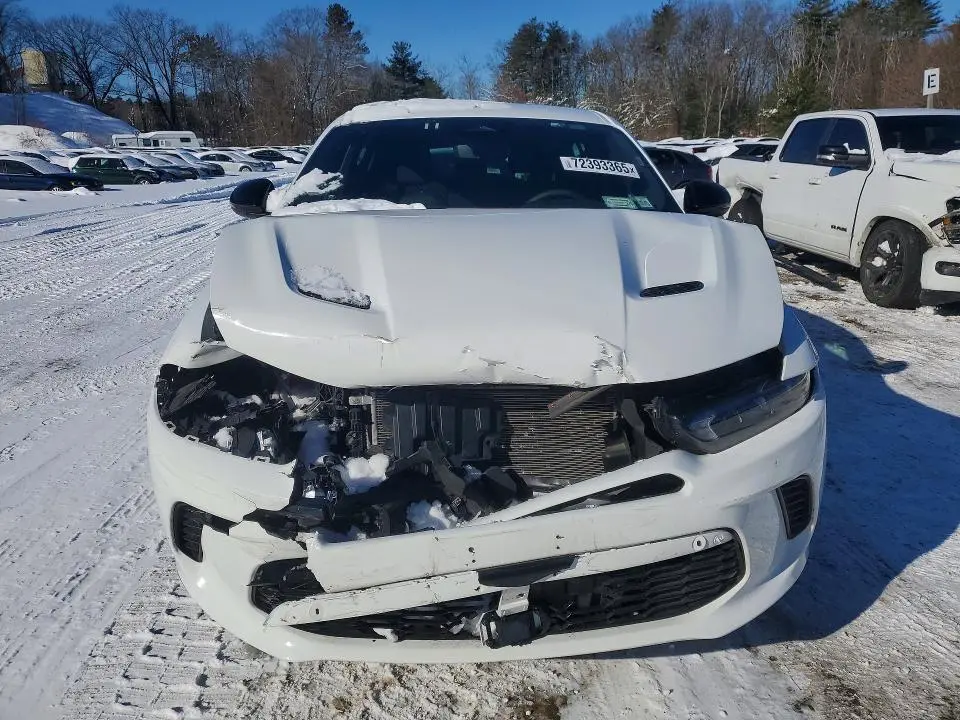 2024 DODGE HORNET R  