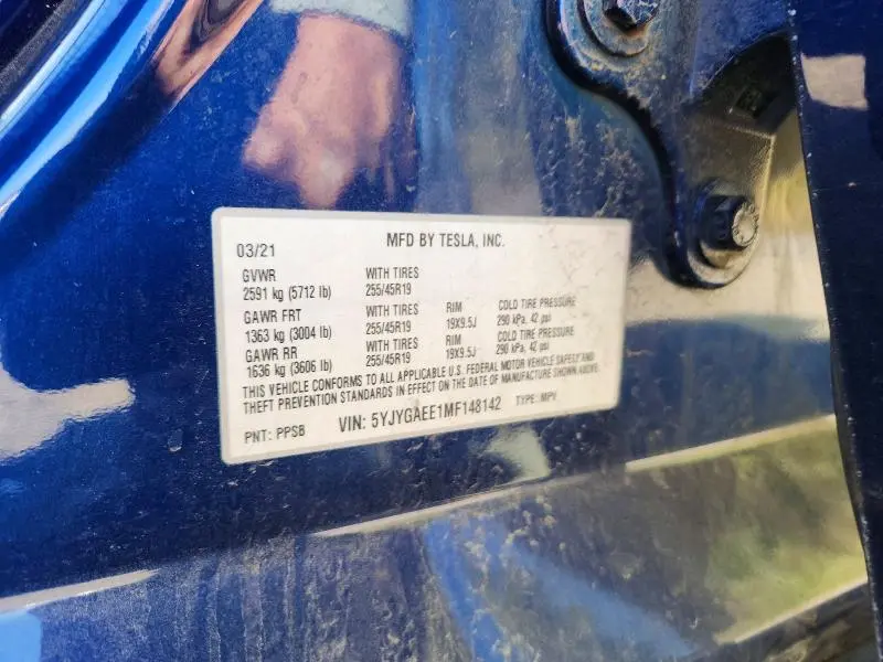 2021 TESLA MODEL Y   