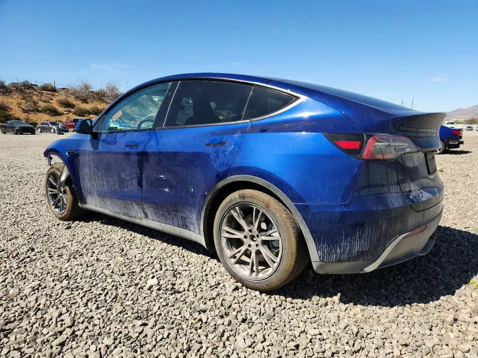 2025 TESLA MODEL Y   