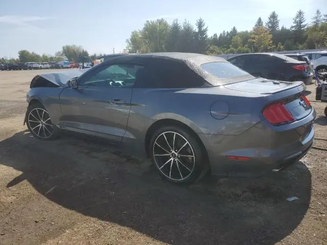 2022 FORD MUSTANG