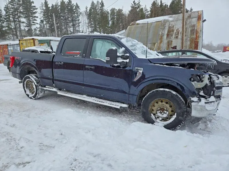 2023 FORD F150 SUPERCREW  