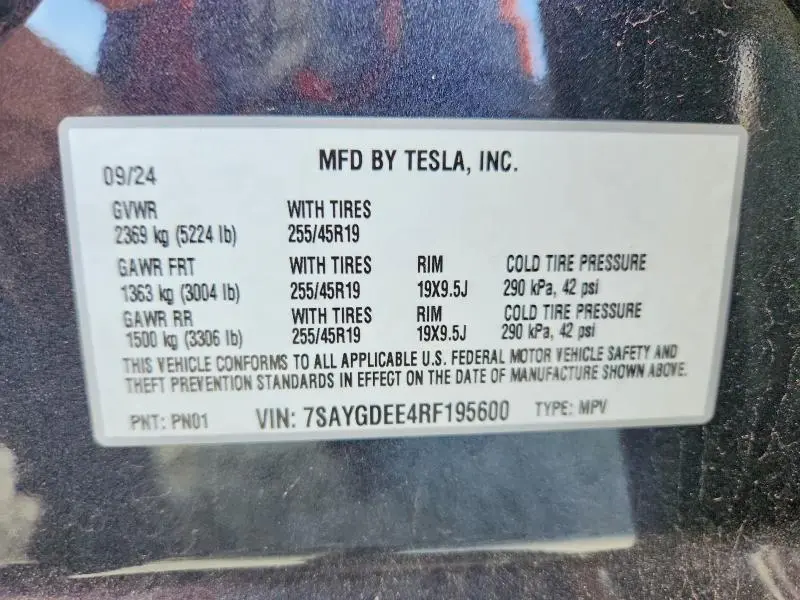 2024 TESLA MODEL Y   