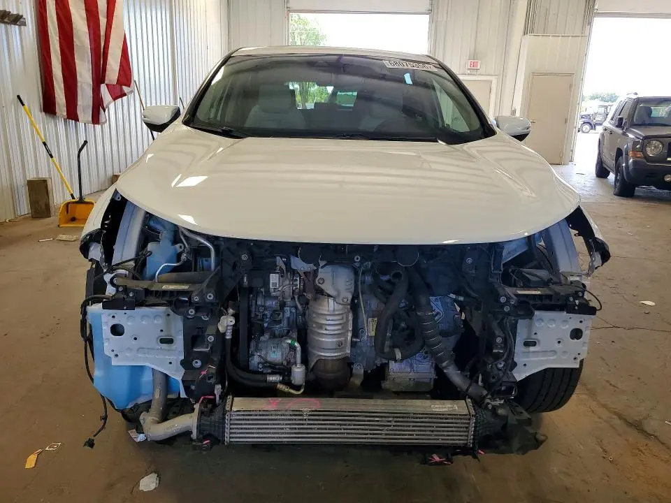 2019 HONDA CR-V EXL  