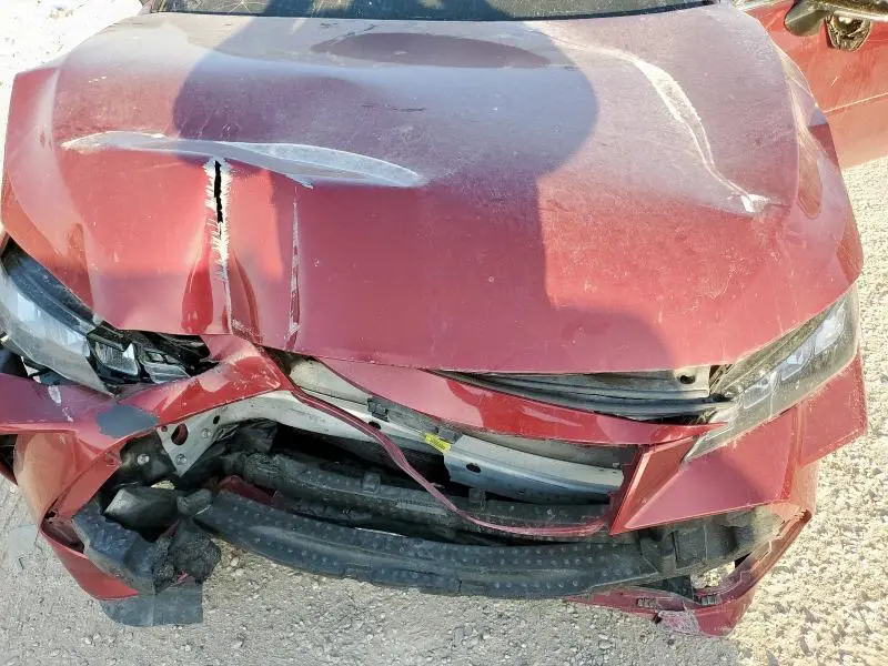 2019 TOYOTA AVALON XLE  