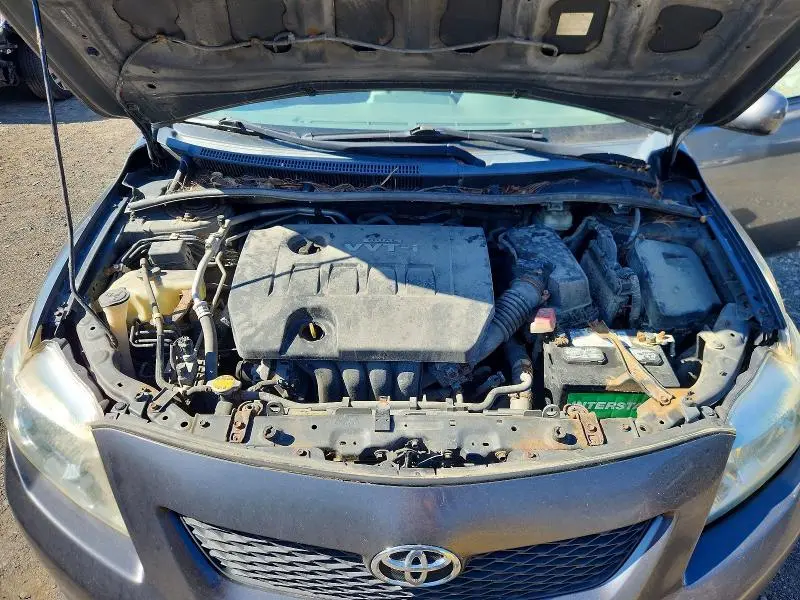 2010 TOYOTA COROLLA   